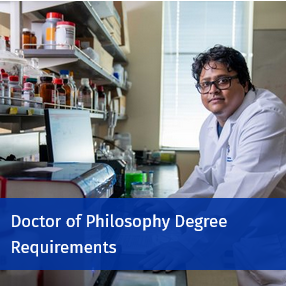 Doctor of Philosophy Degree Requirements