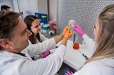 Pharmacy students working in a lab.