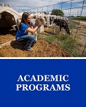 Academic Programs