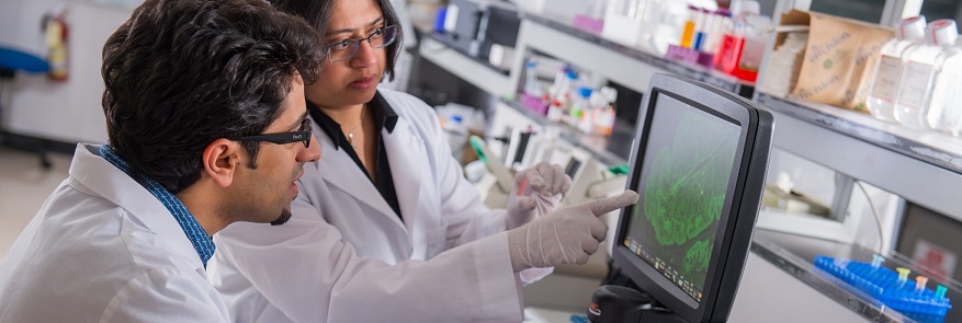 Researchers working in a lab.