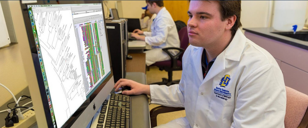 Student working in a lab and sitting at a computer.