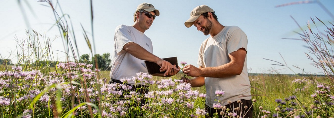 Student and instructor looking at plants in a grassy field.