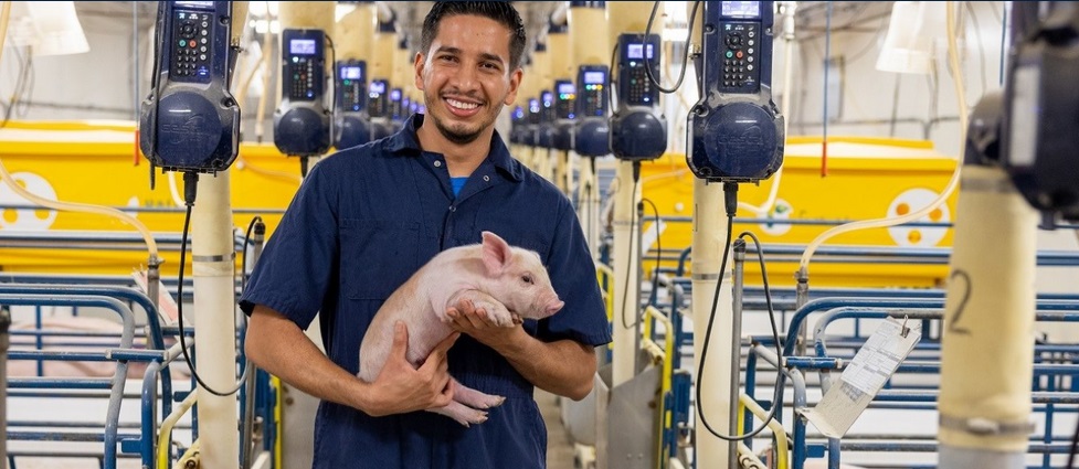 Student holding a pig.