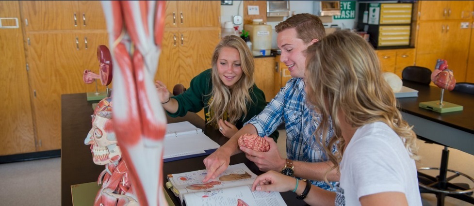 View of students in an anatomy lab.