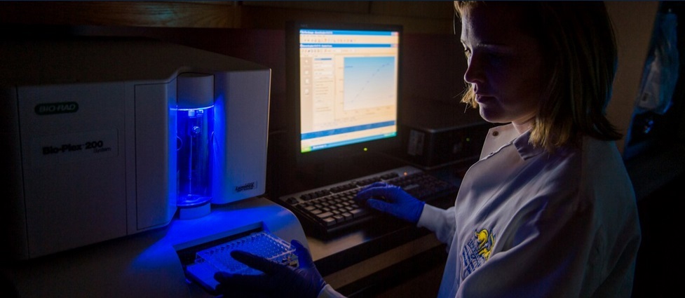 Student working in a lab.