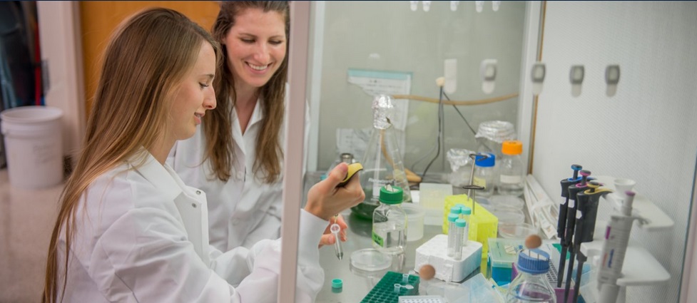 Students in a lab.