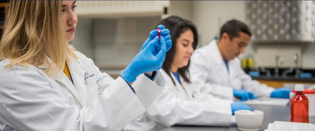 Students in a pharmacy lab.