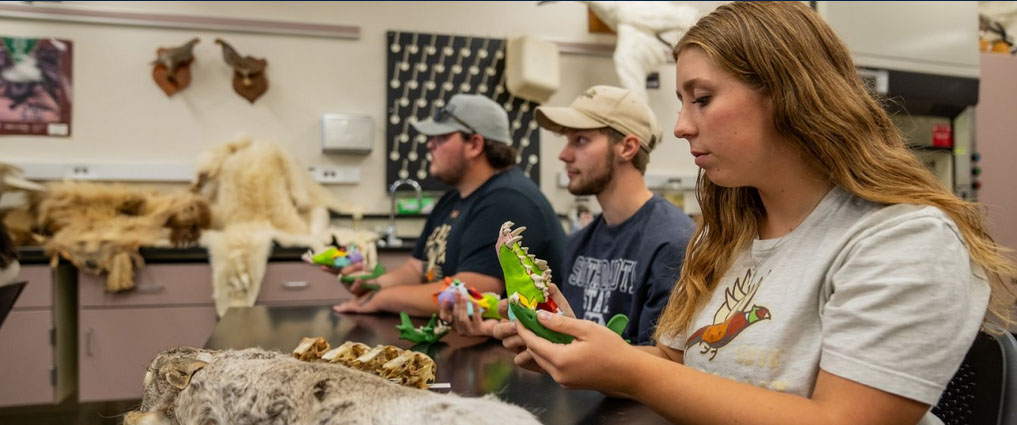 Three students in a wildlife and fisheries classroom.