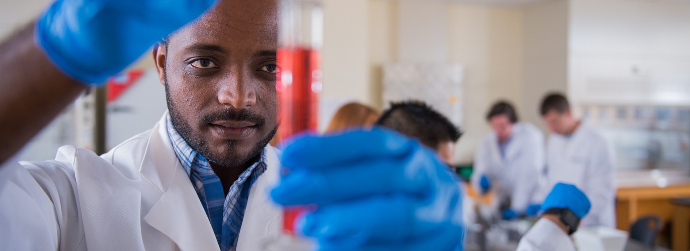 View of students working in a pharmacy lab.