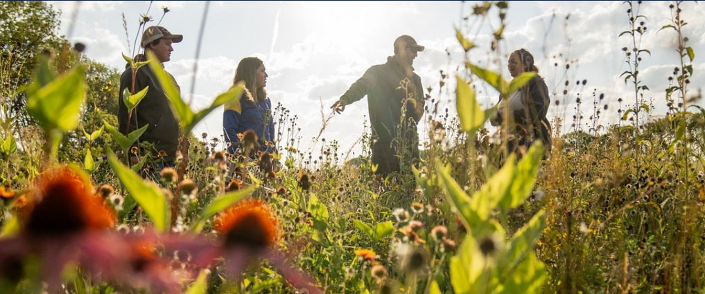 Students and instructor looking at plants.