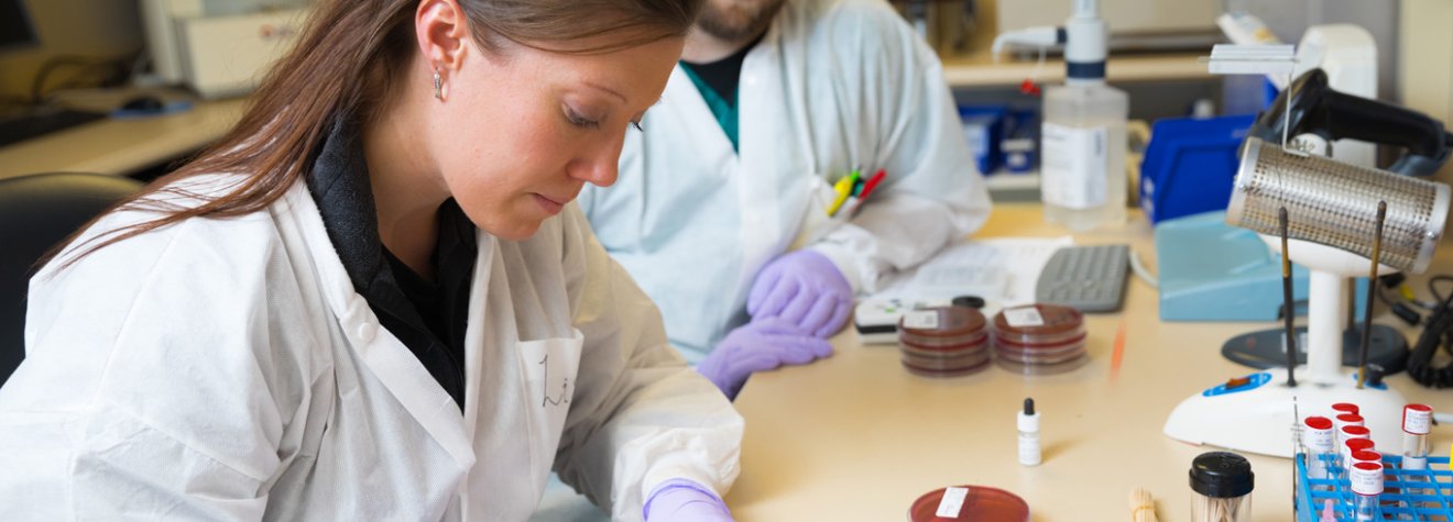 Student working in a lab.