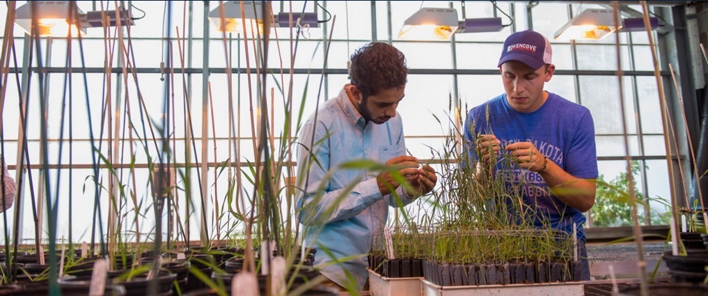 Students working in a greenhouse.