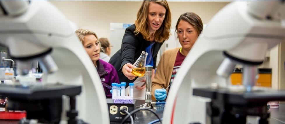 Students and professor in a lab.