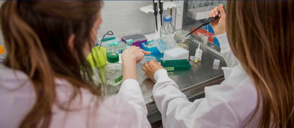 Students working in a lab.