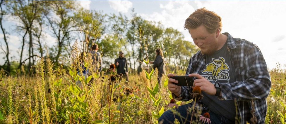 Student kneeling in grass taking a photo of plants with his phone.