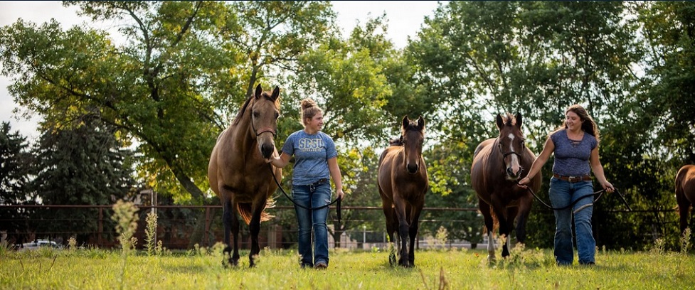 Three students walking with their horses.