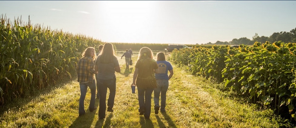 Students walking in a field.