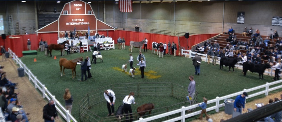 Students presenting their animals at Little I.