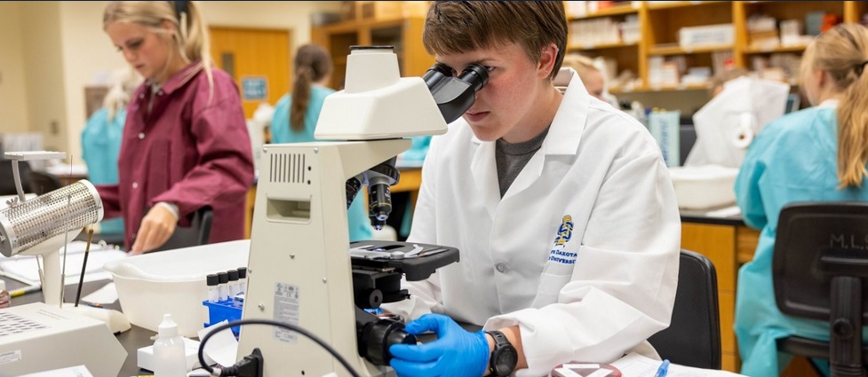 Students working in a lab.