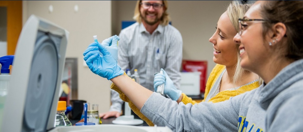 Students in a lab.