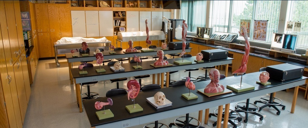 View of an anatomy lab.