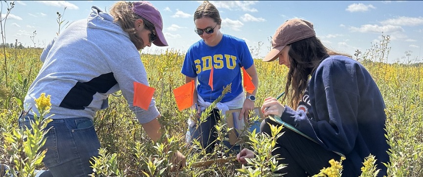 Students looking at grasses outside during a lab.