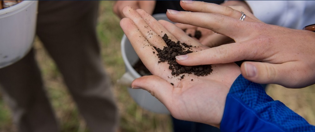 Close view of dirt being held.