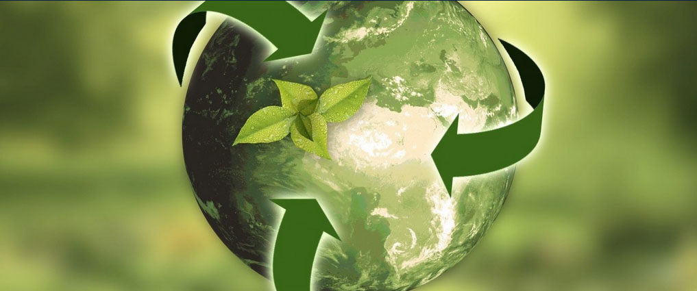 Green graphic for sustainability.