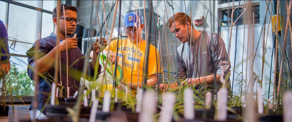 Students working in a greenhouse.