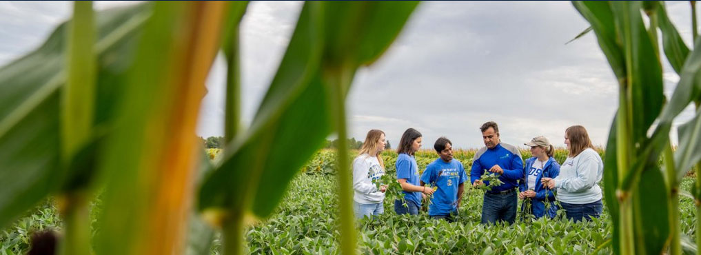 Students and instructor standing in a field looking at the plants.