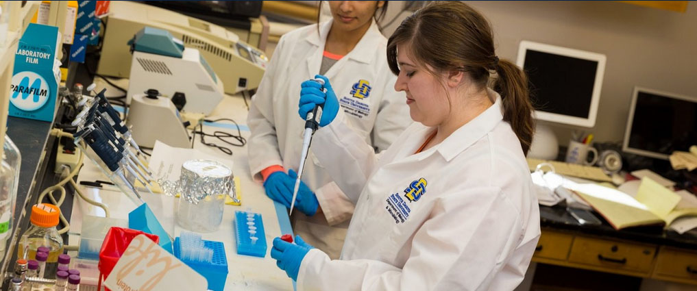 View of students working in a lab.