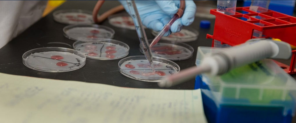 View of lab equipment.