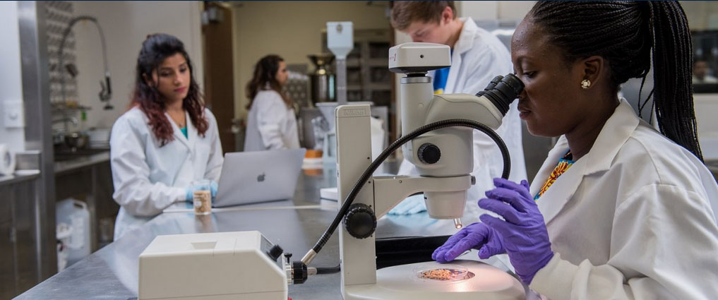 Students working in a food lab.