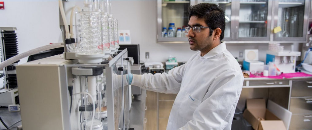 Student working in a food lab.