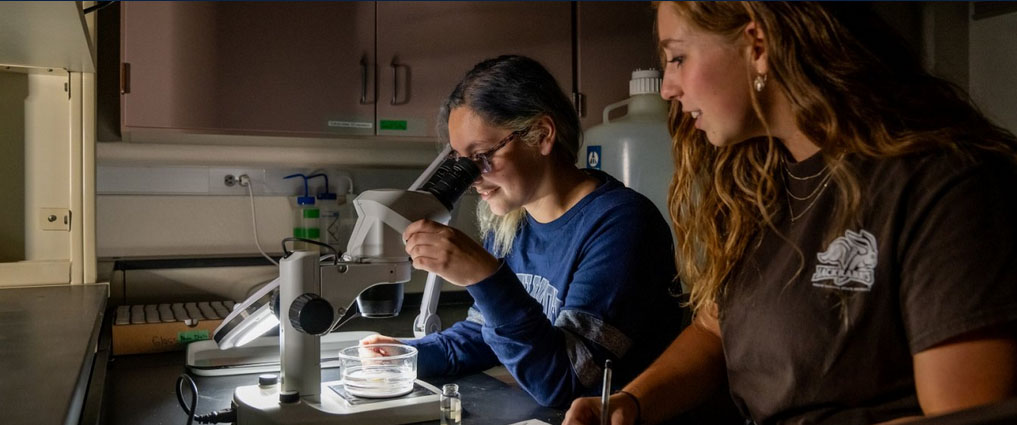 Students in a lab using a microscope.