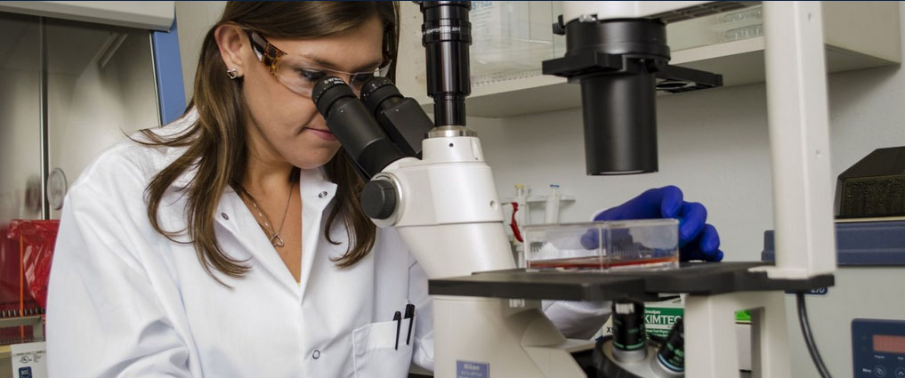 Researcher looking through a microscope.