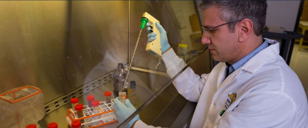 Researcher working in a lab.