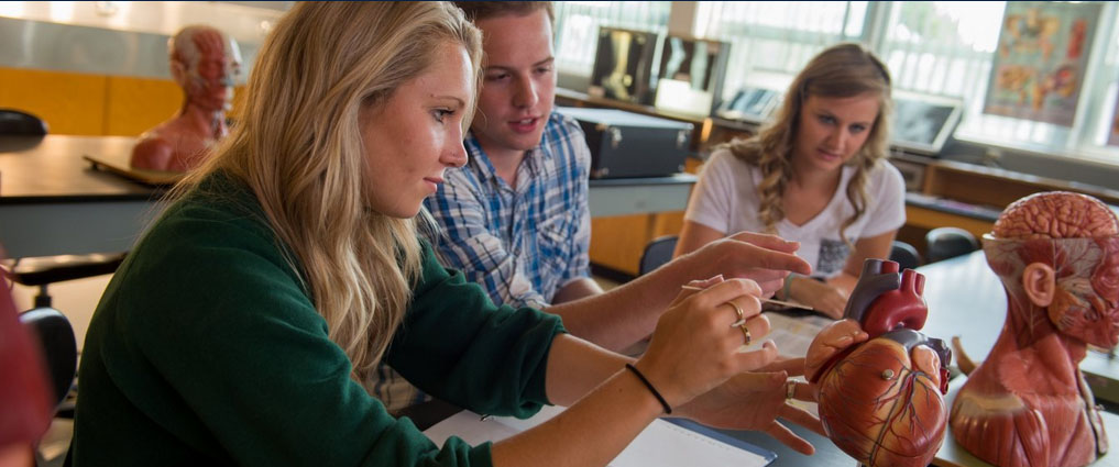 View of students in an anatomy lab.