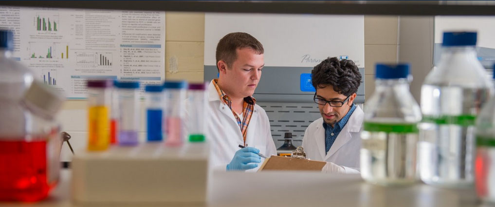 Nutrition PhD students working in a lab.