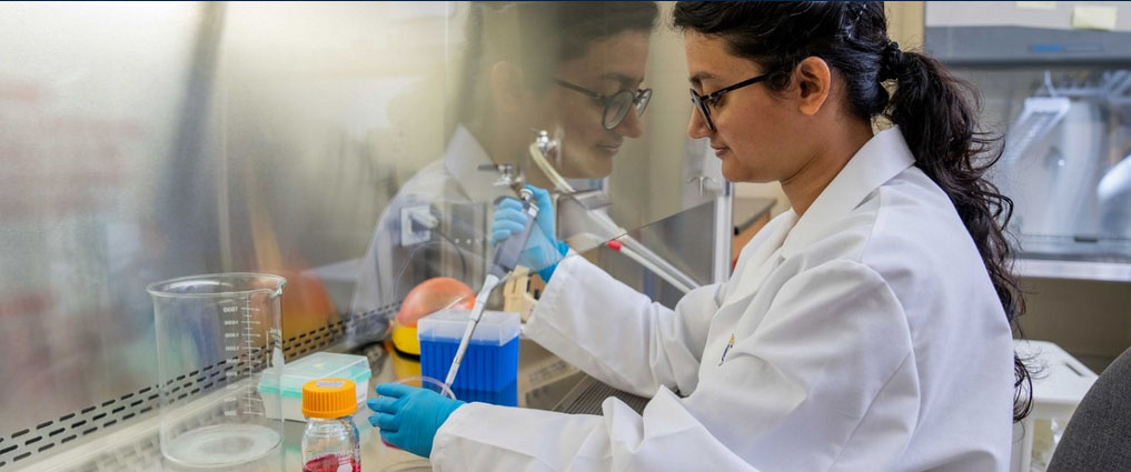 Student working in a lab.