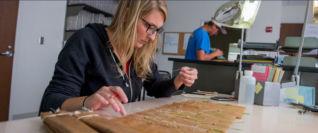 Student working in a lab.