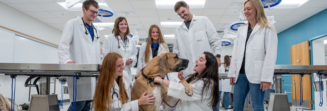 Pre-veterinary medicine students petting a dog on the floor.