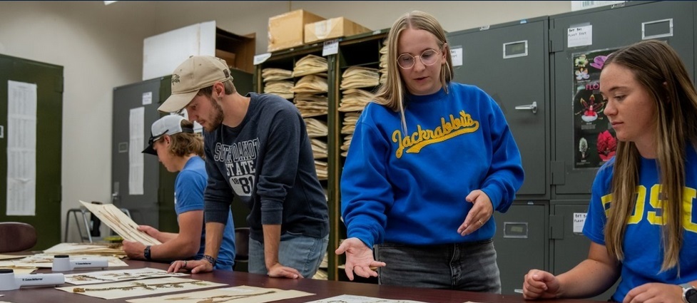 Students looking at grasses in a lab.