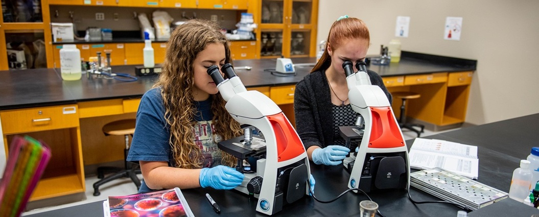 Two students working in a lab looking at microscopes.